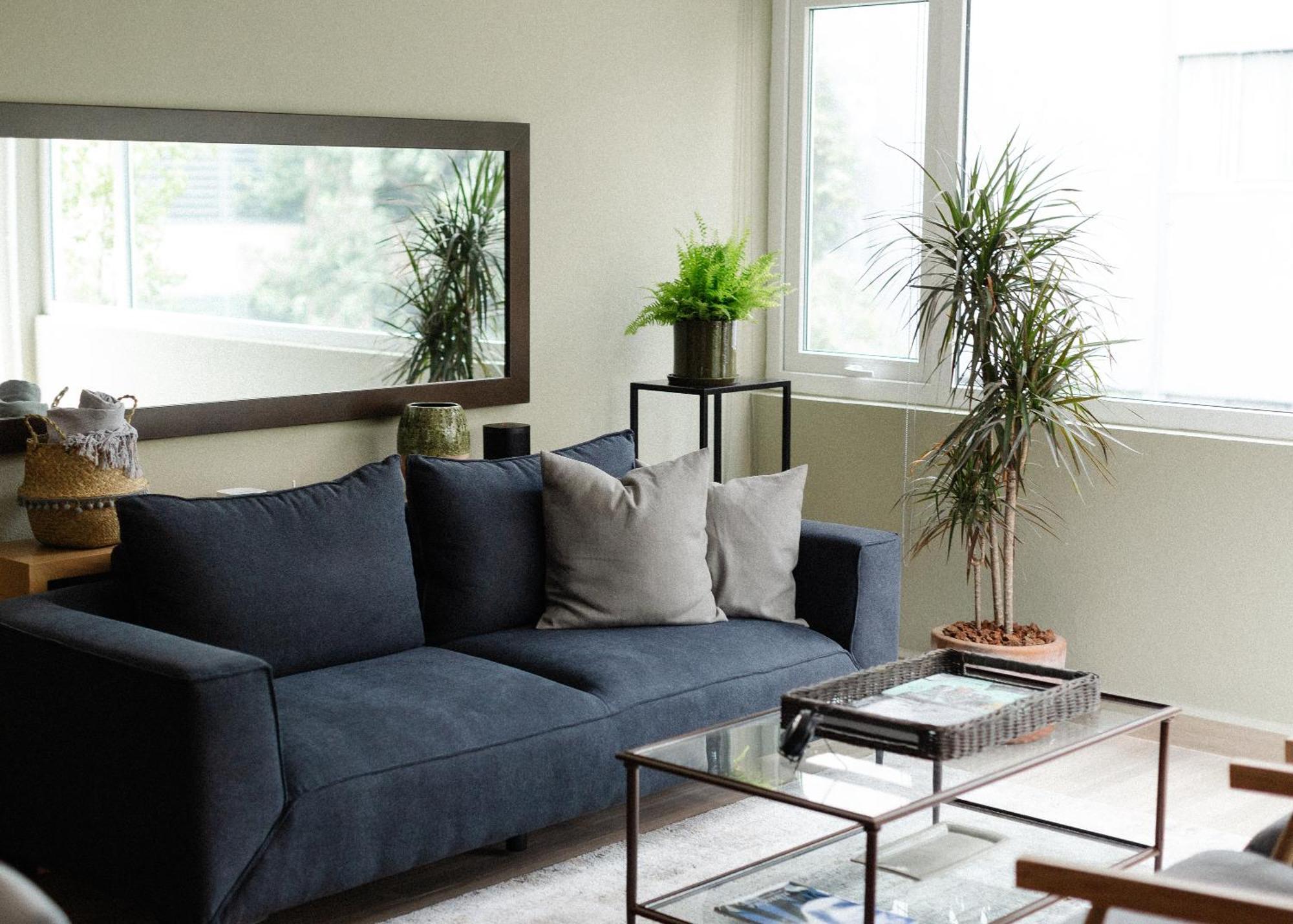 Elba By Mr W Apartment Mexico City Room photo